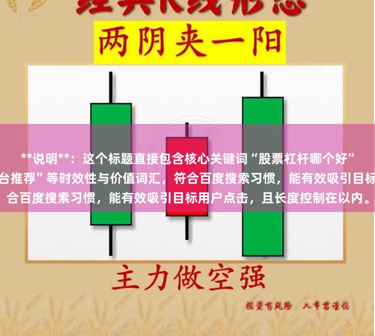 **说明**：这个标题直接包含核心关键词“股票杠杆哪个好”，并加入了“”和“安全杠杆平台推荐”等时效性与价值词汇，符合百度搜索习惯，能有效吸引目标用户点击，且长度控制在以内。